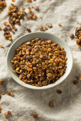 Healthy Homemade Roasted Lentil Snack