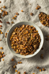Healthy Homemade Roasted Lentil Snack