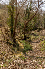 Small mountain river on a sunny day (Greece, Peloponnese).