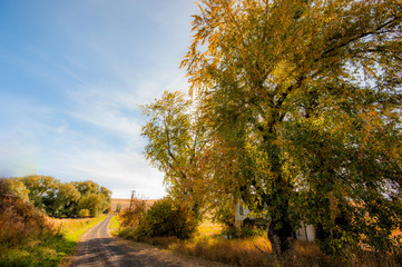 Fototapeta premium autumn on the farm