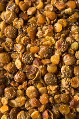 Healthy Homemade Roasted Lentil Snack