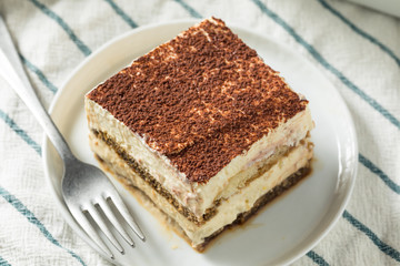 Sweet Homemade Italian Tiramisu Dessert
