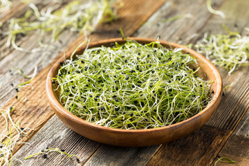 Raw Green Organic Onion Sprouts