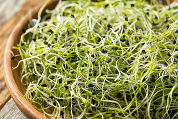 Raw Green Organic Onion Sprouts