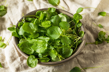Raw Green Organic Living Cress
