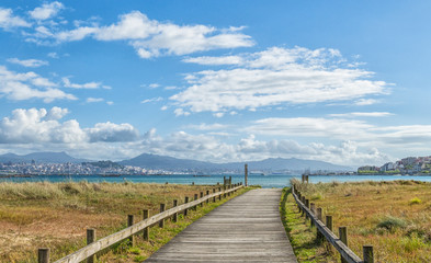 landscape with wooden path to the beach