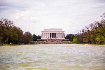 Washington DC, bloom Sakura