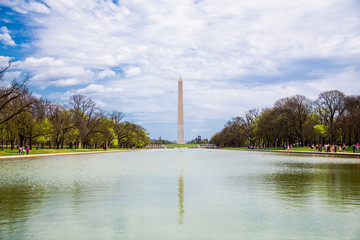 Washington DC, bloom Sakura