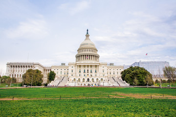 Washington DC, bloom Sakura