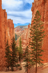 Naklejka premium Bryce Canyon Utah USA