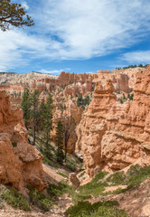 Bryce Canyon Utah USA