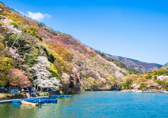 Fototapeta premium 春の京都 嵐山