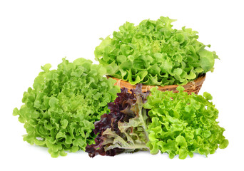 fresh red and green oak lettuce in the bamboo basket isolated on white background