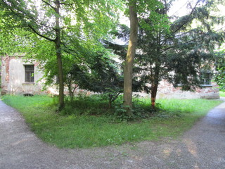 München