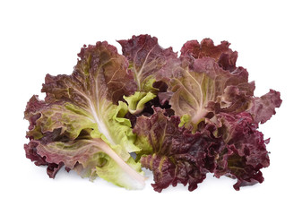 fresh red coral salad or red lettuce isolated on the white background