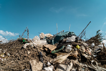 Plastic bottle trash nature pollution garbage save the planet environment