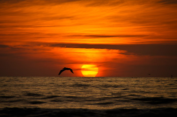 Playa de Cocos Nayarit  Atardecer 