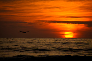 Playa de Cocos Nayarit  Atardecer 