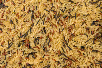 rice mix texture background. nutrition. bio. natural food ingredient. variety of white parboiled,red and wild rice.