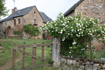 Fototapeta na wymiar フランスの田舎の家