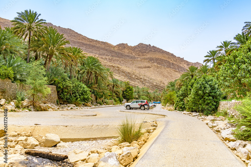 Wall mural Wadi Bani Khalid in Oman. It is located about 203 km from Muscat and 120 km from Sur.