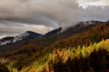 Mountain forest and canyon recently burned in a forest fire with storm clouds passing over.