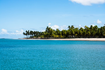 beach and tropical sea