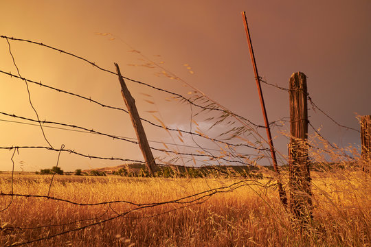 An old, broken fence in a field of dead grass under a cloudy sky after a storm.
