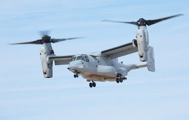 Fototapeta na wymiar Mv-22 Osprey hovering 