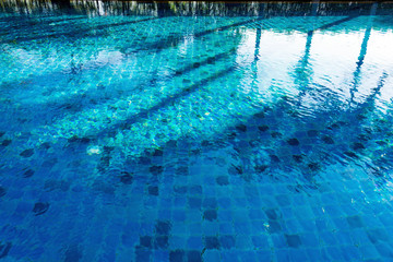 Reflection and shadow of trees on blue swimming pool