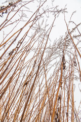 Obraz premium Frozen Winter Landscape in sichuan,China.