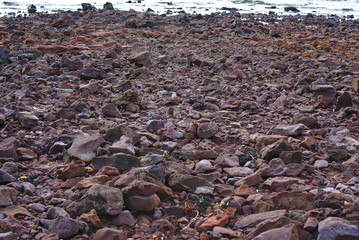 Stones and pebbles on the beach