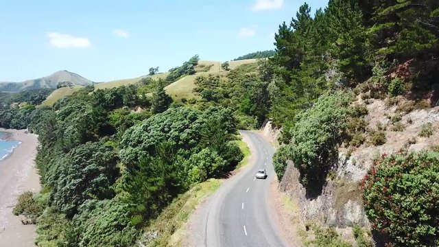 Roadside Coromandel Peninsula New Zealand