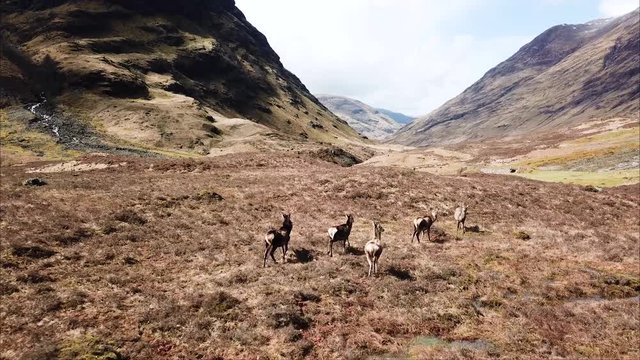 Glencoe - Three Sisters (Scotland)
