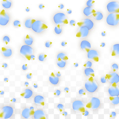 Vector Realistic Blue Petals Falling on Transparent Background.  Spring Romantic Flowers Illustration. Flying Petals. Sakura Spa Design. Blossom Confetti.