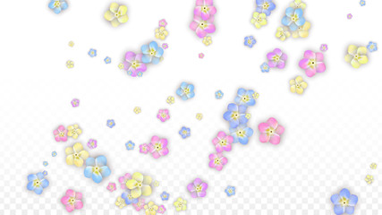 Colorful Vector Realistic Petals Falling on Transparent Background.  Spring Romantic Flowers Illustration. Flying Petals. Sakura Spa Design. Blossom Confetti. Design Elements for Wedding Decoration.