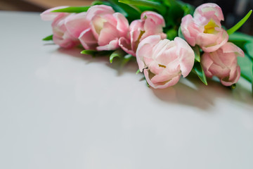 bunch of pink tulips on white table. Banner mockup card with copy space for congratulation, woman...