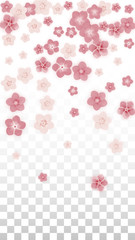 Vector Realistic Pink Flowers Falling on Transparent Background.  Spring Romantic Flowers Illustration. Flying Petals. Sakura Spa Design. Blossom Confetti. Design Elements for Wedding Decoration.