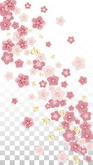 Vector Spring or Summer Sale Background with Flowers and Percent for Banner Design. Good for Special Hot Holiday Discount Offer, Black Friday, Fashion Promotion Action. Romantic Sakura Illustration.