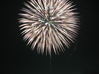 Fototapeta premium 花火