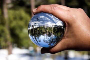 Green Forest and snow view through clear crystal glass ball. Creative photography, crystal ball refraction