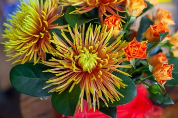 Obraz premium Beautiful flower bouquet