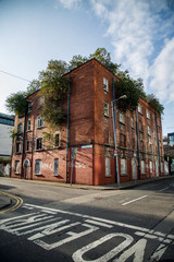 Abandoned building, Ireland