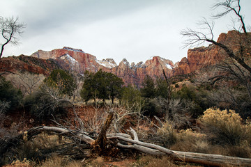 Snowy Peaks, Zion National Park