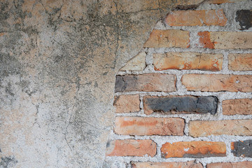 The wall is made of brick and then painted in white. There are creepers on the left wall. This wall is popular in English style. Also known as a vintage style. as background with copy space.