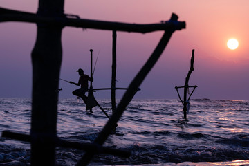 Silhouettes of the traditional fishermen at the sunset in Sri Lanka, Weligama beach