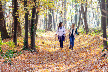 Fototapeta premium Two young girls walking in forest with backpacks using sticks with fall leaves and trees on background
