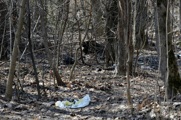 Garbage in the spring forest. The problem of ecology and pollution of nature