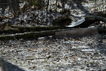 Garbage in the spring forest. The problem of ecology and pollution of nature