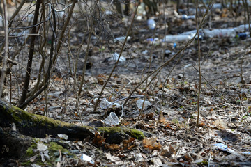 Garbage in the spring forest. The problem of ecology and pollution of nature